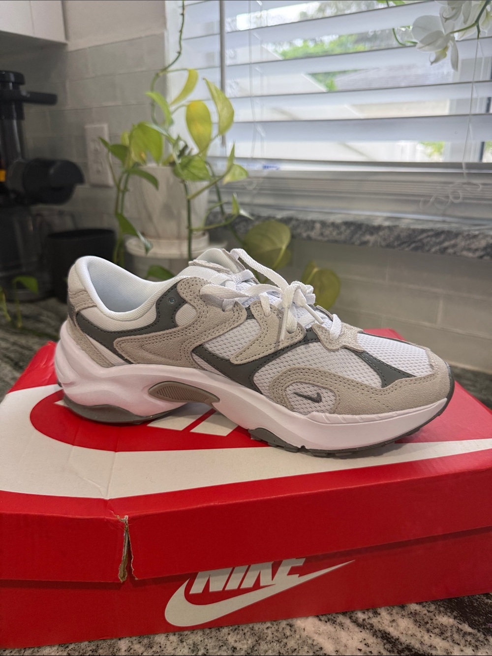 Nike Women's White and Gray